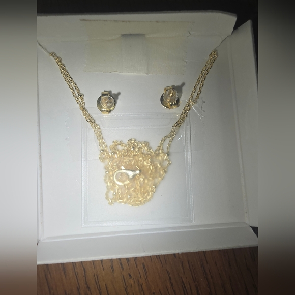 Lumineux Designs Sterling Silver Necklace w/ a 14/16+2 inch Chain + Earrings Set - Picture 4 of 10